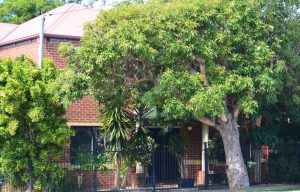Rear Built Strata Townhouse on Corner with Right of Way MT LAWLEY R30 - 1996